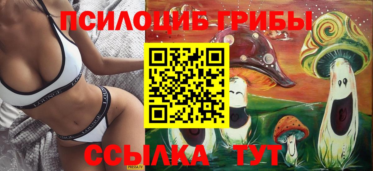 Дзержинский  Галлюциногенные грибы Cubensis  Вход с VPN  Псилоцибиновые грибы Magic Shrooms 