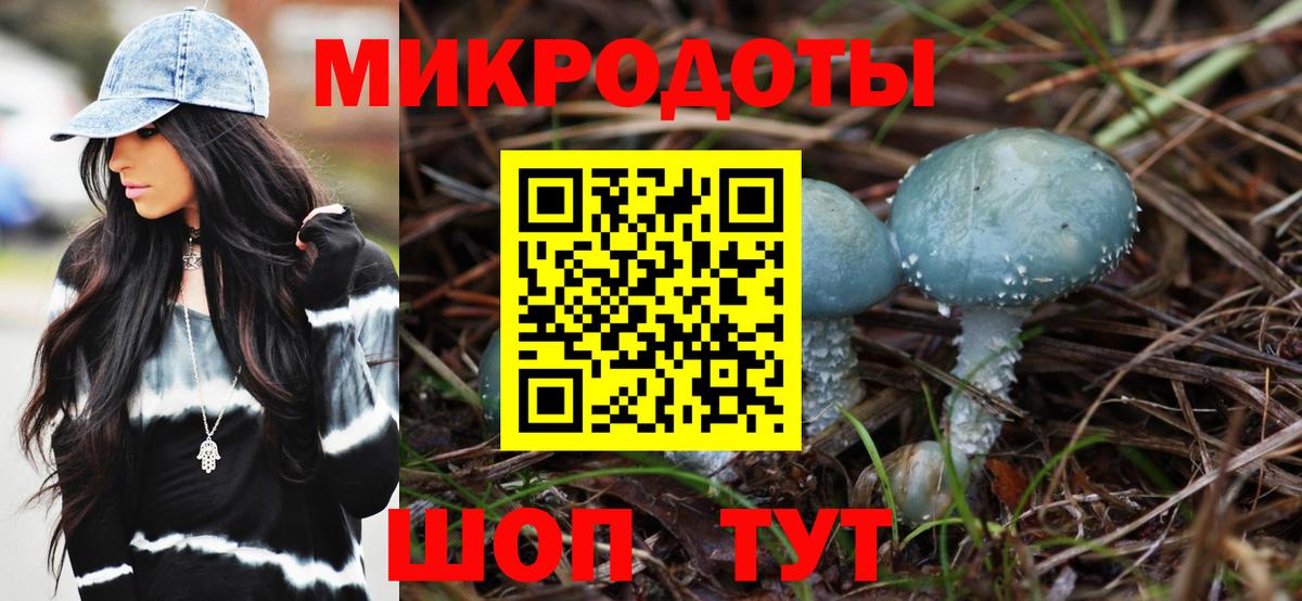 Псилоцибиновые грибы Psilocybine cubensis Дзержинский